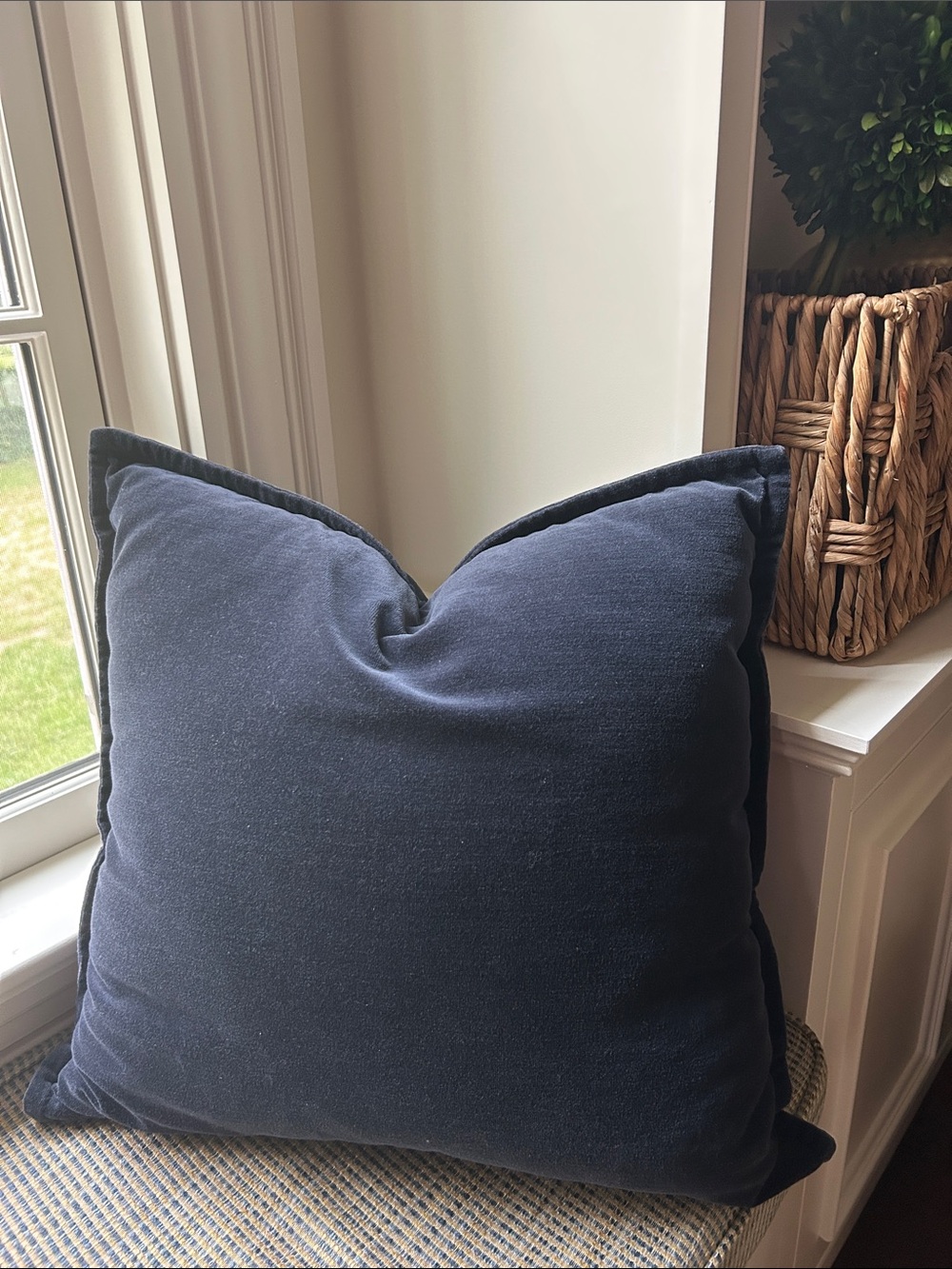 Pottery Barn velour velvet accent pillow